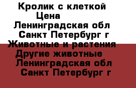 Кролик с клеткой › Цена ­ 2 000 - Ленинградская обл., Санкт-Петербург г. Животные и растения » Другие животные   . Ленинградская обл.,Санкт-Петербург г.